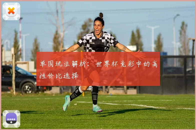 单固玩法解析：世界杯竞彩中的高性价比选择