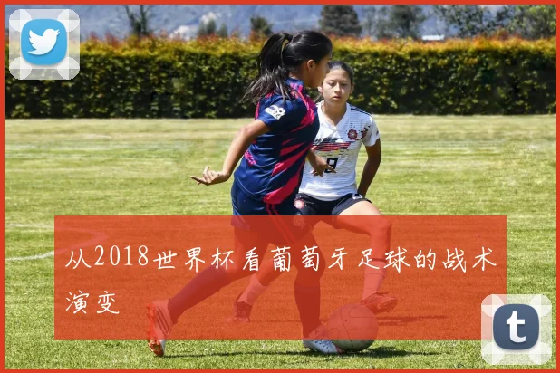 从2018世界杯看葡萄牙足球的战术演变